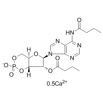 Bucladesine calcium salt