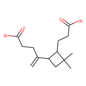 β-Caryophyllinic Acid