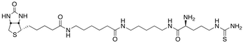 N-(6-Biotinamidohexanoyl)-N’-D-thiocitrullinyl-pentamethylenediamine