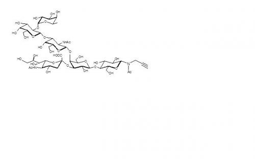 Fucosyl-GM1-β-N-Acetyl-propargyl
