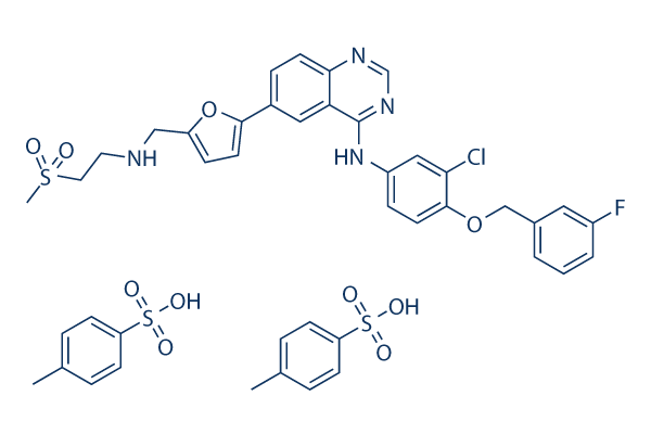 Lapatinib (GW-572016) Ditosylate