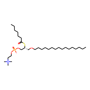 Heptanoyl thio-PC