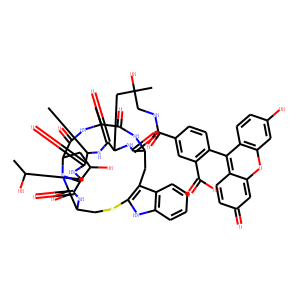 Phalloidin-Fluorescein Conjugate