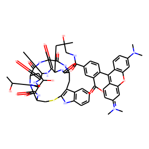 Phalloidin-Tetramethylrhodamine Conjugate