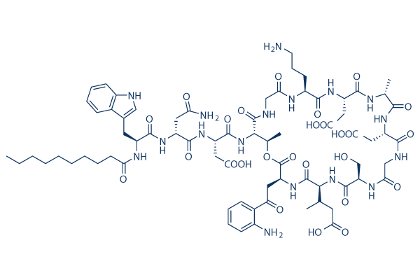 Daptomycin