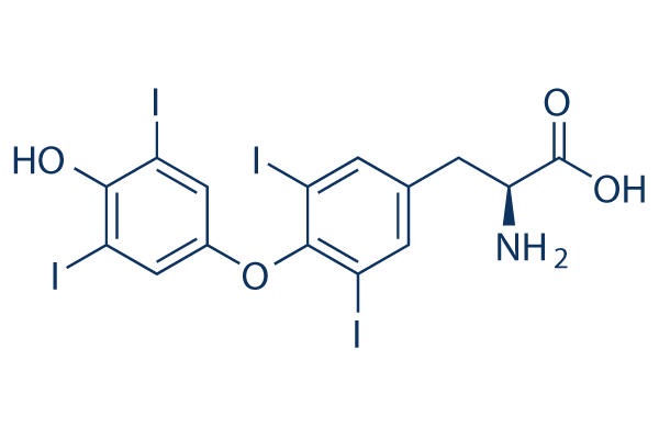 L-Thyroxine