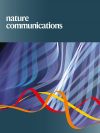 Structure and dynamics of an α-fucosidase reveal a mechanism for highly efficient IgG transfucosylation