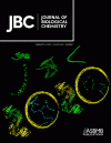 Isolation and characterization of two O-methyltransferases involved in benzylisoquinoline alkaloid biosynthesis in sacred lotus (Nelumbo nucifera)