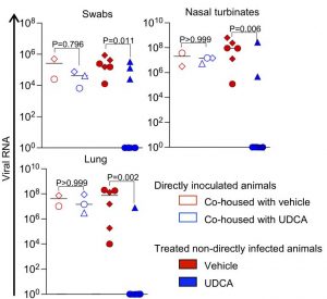 FXR-inhibition-reduces-ACE2-and-SARS-CoV-2-infection-in-viv