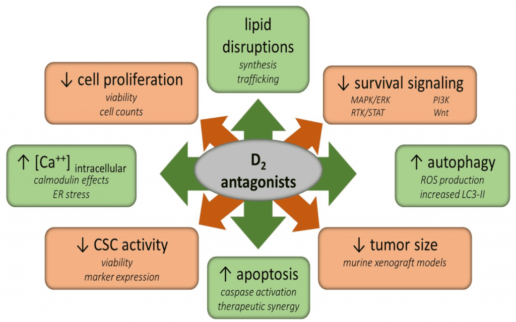 D2-antagonists-affects