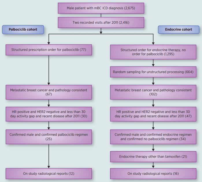 Flatiron-Database-Analysis-Consort-Diagram