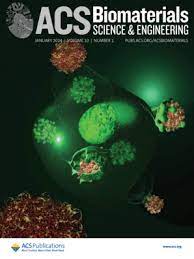 Modulatory Contribution of Oxygenating Hydrogels and Polyhexamethylene Biguanide on the Antimicrobial Potency of Neutrophil-like Cells