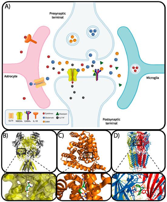 Epileptogenesis and molecular targets
