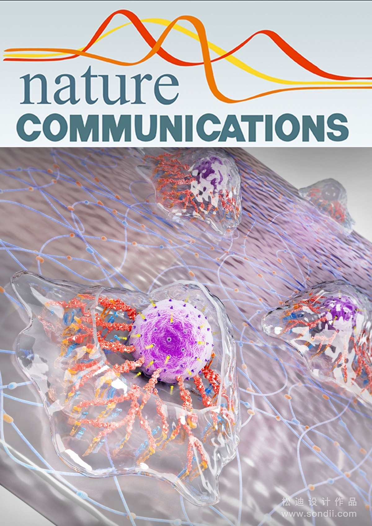 Structures of synaptic vesicle protein 2A and 2B bound to anticonvulsants