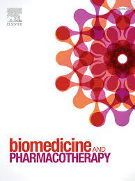 Modeling of the In Vitro Release Kinetics of Sonosensitive Targeted Liposomes